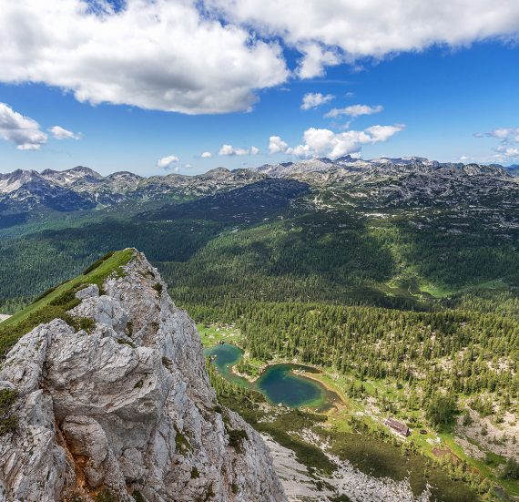 ales-krivec-107499 ales-krivec-107499