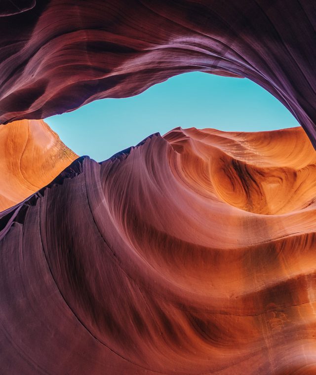 ashim-d-silva-162286