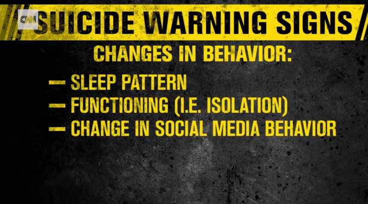 Suicide Warnings - Kate Spade